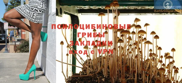 амф Михайловск